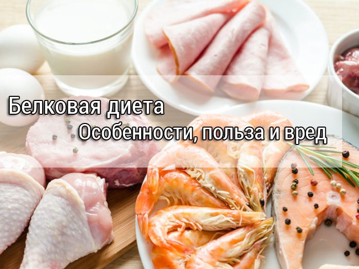 Белковая Диета Вред И Польза