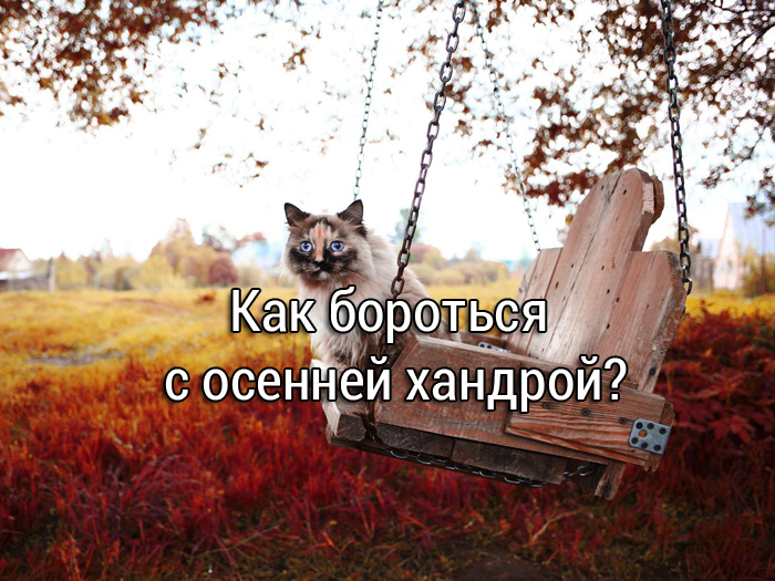 Как бороться с осенней хандрой?