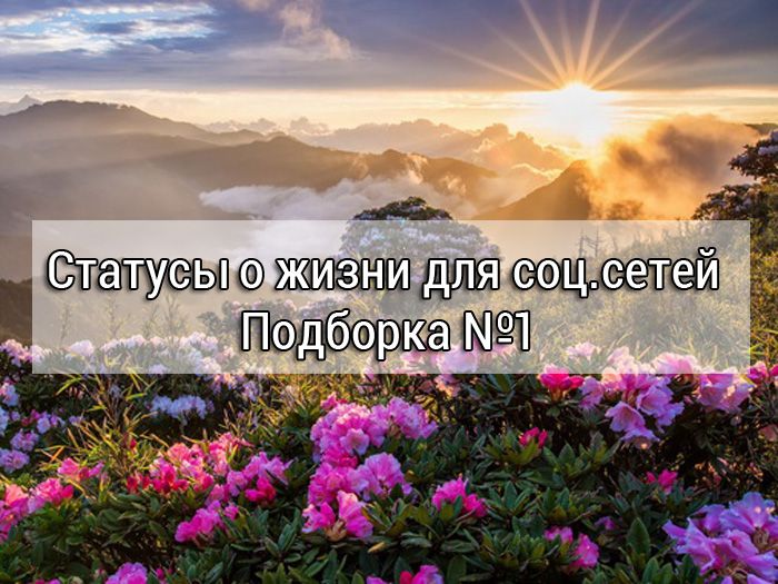 статусы для соц сетей новые 